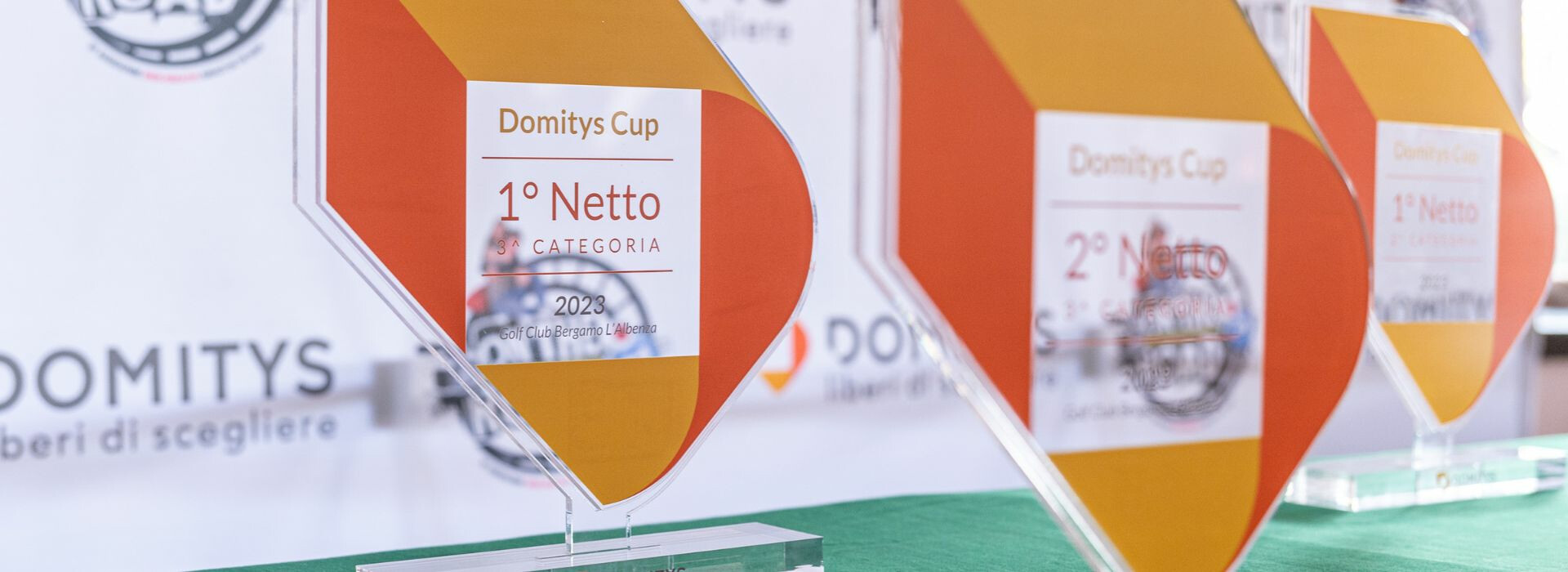 immagine domitys cup